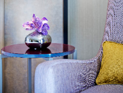 OLEVENE image - Reunions ()-